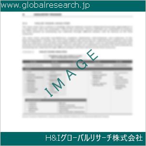 グローバルリサーチ調査資料のイメージ